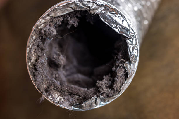 Best Emergency Air Duct Cleaning Services in East Cleveland, TN